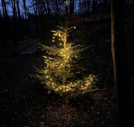 Advent 2024